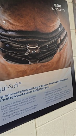 We get asked about this ALL the time! The Stubben Equisoft girth has a unique design that offers the maximum freedom of movement for your horse. ✨ Elastic rings expand and contract with the horses breathing, ensuring constant and uniform pressure distribution. This allows the horse to expand its chest comfortably and reduces stress during girth tightening ✨ The girth's ergonomic and fan-shaped design wraps around the chest from below and slightly to the sides, offering freedom of movement while 