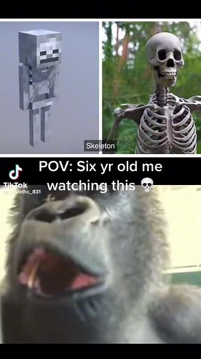 Not mine but funny as shit #minecraftmeme #fyp #povmeme #meme | Minecraft Memes