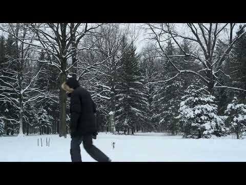 Snowstorm Ambience for Restful Sleep and Mental Purification ❄️