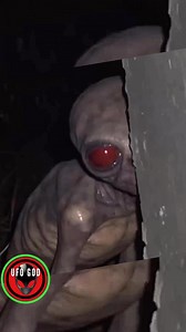 Alien creature spotted in Mexico chiapas mexico 2026 credit ufo god alien news. #alien #ufo #aliens #ufosighting #fyp | UFO GOD
