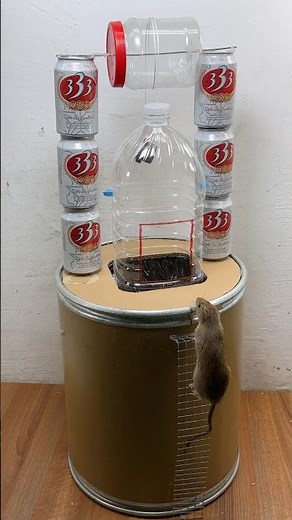 Best mouse trap at home // easy mouse trap #mousetrap