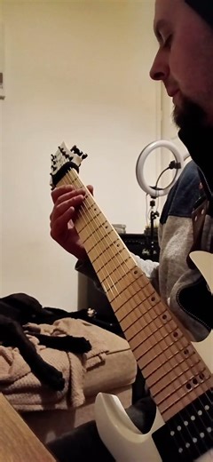 Harley Benton R-458 #fyp #metal #guitar #harleybenton #metalmusic