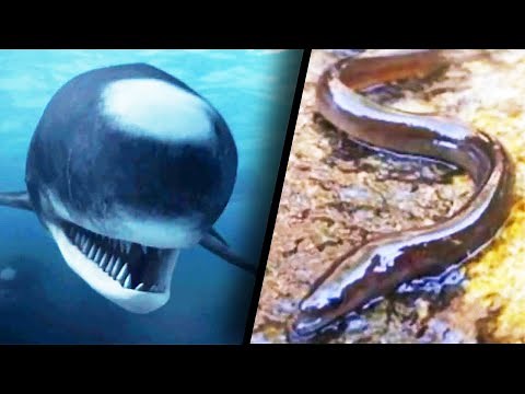 Are These Monsters Real?