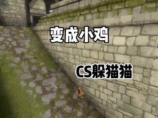 CS2躲猫猫:小鸡限时返场