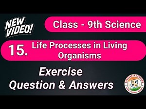15 life processes in living organisms exercise | Class 9 science chapter 15 question answer