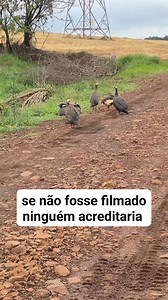 . . . . . #charity #tuesday | Humor-Engraçado