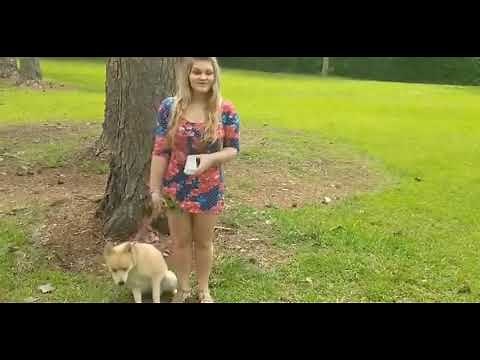 White woman drinks dog piss