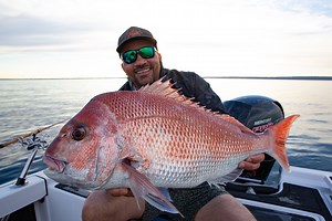 34 reactions · 6 comments | We recently went out chasing Melbourne...