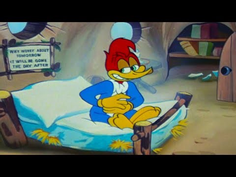 Woody Doesn’t Want to Work! | Woody Woodpecker