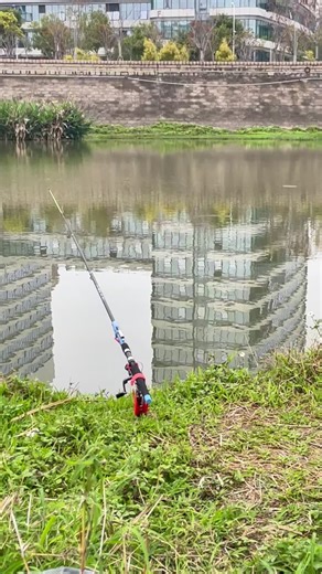 🔥Revolutionize Your Fishing with Our Automatic Fishing Spring Rod Holder! 🌟 #AutomaticFishingHolder #FishingGear #OutdoorAdventure #tiktokmademebuyit #MustHaveForAnglers