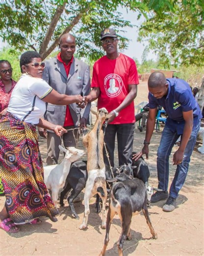 How it started - and how it's going in the Giving Machines