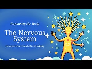 The Nervous System