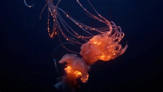 Take a moment to stop and relax | relaxing