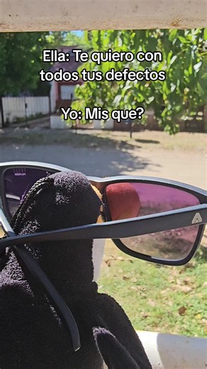 Ahí la tenés a ella, queriendo hacerse la profunda y la comprensiva con su frase de manual: 'Te quiero con todos tus defectos'. Y yo me quedo ahí, recalculando, mirándome las plumas, el pico y el aura, preguntándome seriamente de qué carajo está hablando. ¿Mis qué? Perdoname, pero en este búnker la palabra 'defecto' no figura ni en el diccionario de sinónimos. Yo no tengo fallas, tengo características especiales que tu limitada capacidad de apreciación no sabe catalogar.