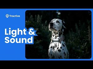 How to Use Light & Sound on Tractive GPS (+ Durability)