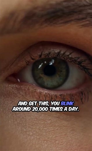 interesting fact about Human eye 👁.