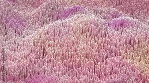 Pink waves on 3D chart surface made of glowing fiber optic network wires. Concept of big data, science or digital soundwaves. Abstract visualization of data analytics and analysis. Seamless loop video