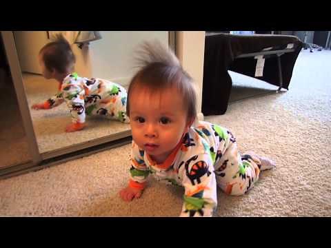 10 month old Baby Brian Crawling & Playing Around the House