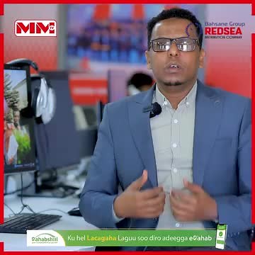 Nutrition and Business: Full Cream Milk Powder Insights