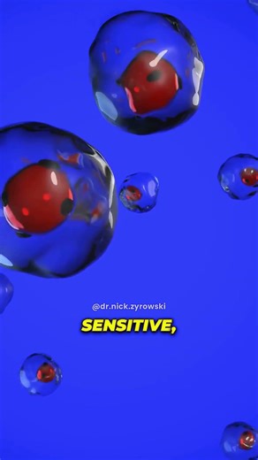 The Proper Way To Break A 24 & 48 Hour Fast