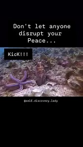 2.3K views · 54K reactions | KICK Lets Dive With Octo Diver...