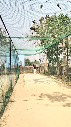 "मेरी कलाई में बहुत दर्द है।""क्या मुझे इस चोट के साथ प्रैक्टिस करनी चाहिए?" #cmchanni #csk #cartoon