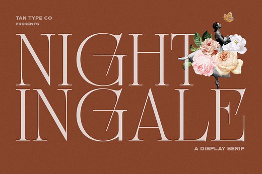 TAN - NIGHTINGALE, a Serif Font by TanType