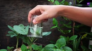 33_AMAZING_SCIENCE_EXPERIMENTS%21_Compilation___Best_of_the_Year(360p)