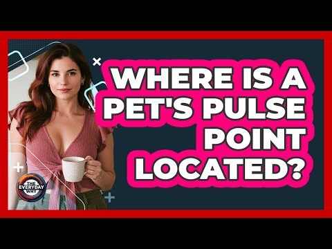 Where Is A Pet's Pulse Point Located?