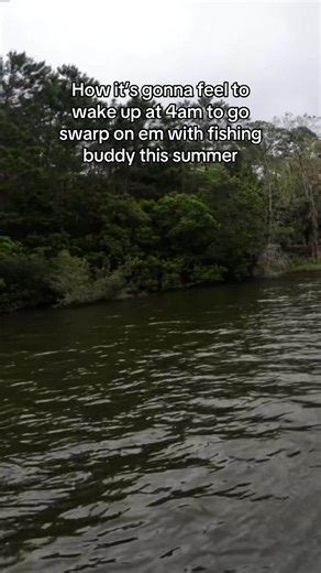 Perfect Fishing Day in Anaheim, California