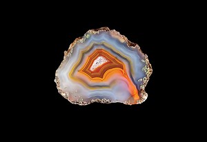 Put purpose at the core of strategy - IMD business school for management and leadership courses