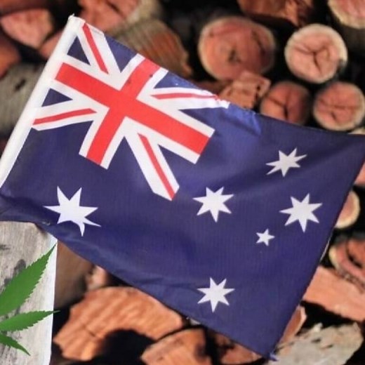 Why Marijuana Should Be Legal: A 2025 Perspective | Cannabis Place