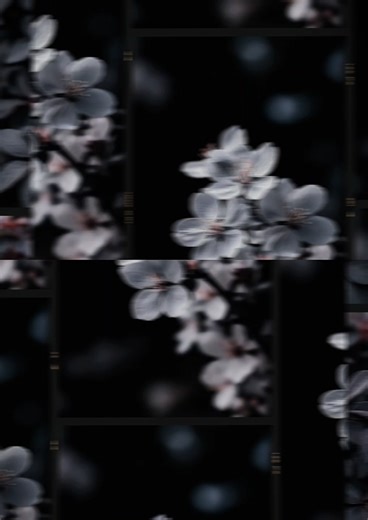 Explore Creative Templates with CapCut