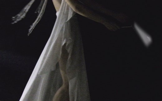 【冰岛实验人声】JFDR - The Orchid (Official Video)