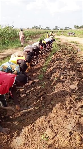 Exploring Cop Cup Culture and Influential Personalities