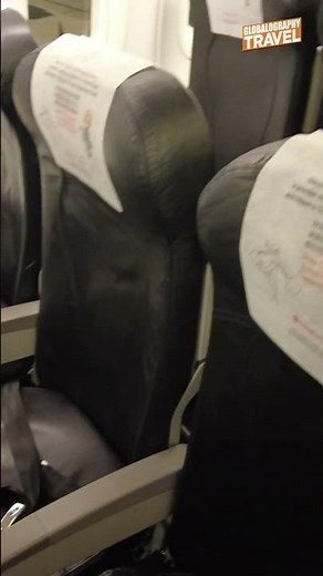 Scoot Airlines...A close look at the seats...short haul flight! 😀 #scoot