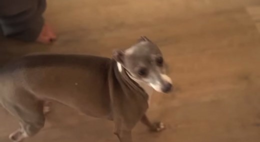 Jenna Marbles Cermet Video Compilation