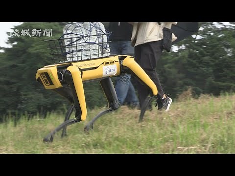 四足歩行ロボット 歩行実験