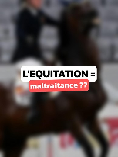 Equitation = Maltrait*nce ?? #cheval #cavalier #equitation