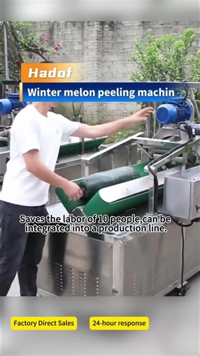 Automatic Cantaloupe Peeling Machine for Efficient Production