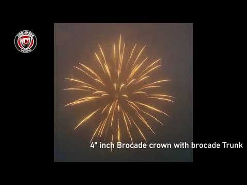 4inch Display shell-24 Brocade crown with brocade Trunk