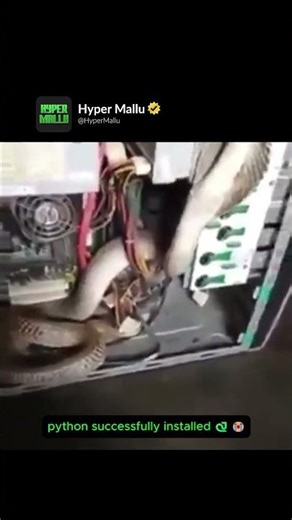 ython successfully installed 🐍