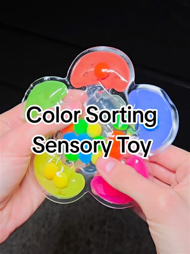 Toddler's Color Sorting Sensory Toy Experience