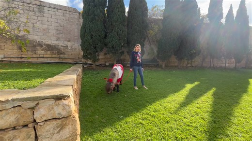 UK in Malta - British High Commission Valletta on Reels