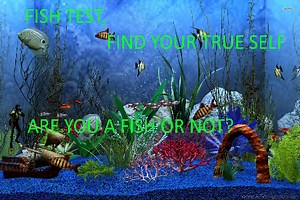 Fish Test - Free Addicting Game ★★★★★