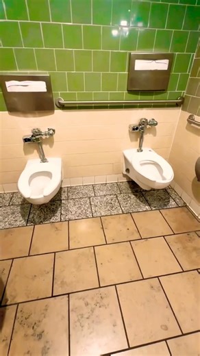American Standard Afwall Toilet Flush Meme Trend | туалет 馬桶 Inodoro 화장실 banheiro トイレ nhà vệ sinh
