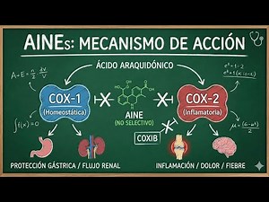 Pharmacology of NSAIDs: Mechanism of Action and Arachidonic Acid Pathway
