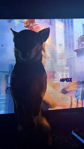 He really thinks he’s an Avenger. 🦸‍♂️💀