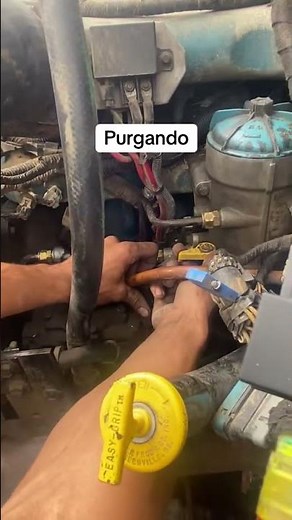 Navistar International (purgando)