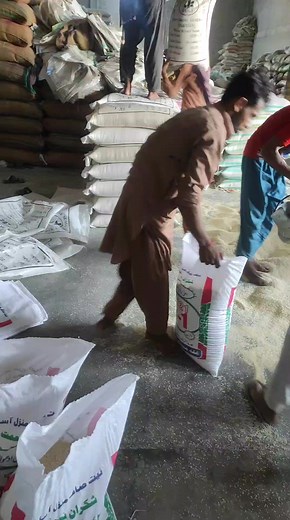 B1 pure Steam loading For Karachi Contact number 03158247677 | Karachi Rice Brokers